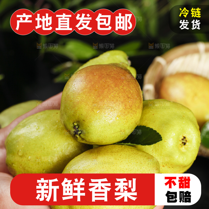 手里拿着小香梨