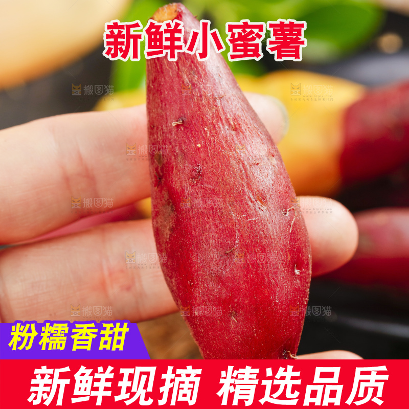手里拿着临安天目山小香薯