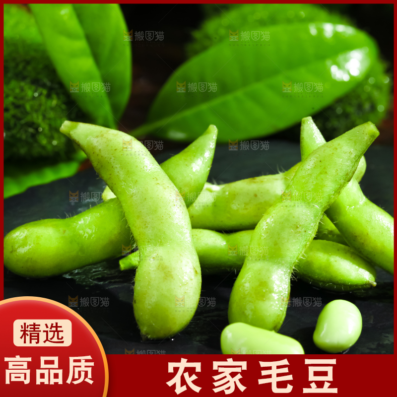 黑底上放着毛豆角