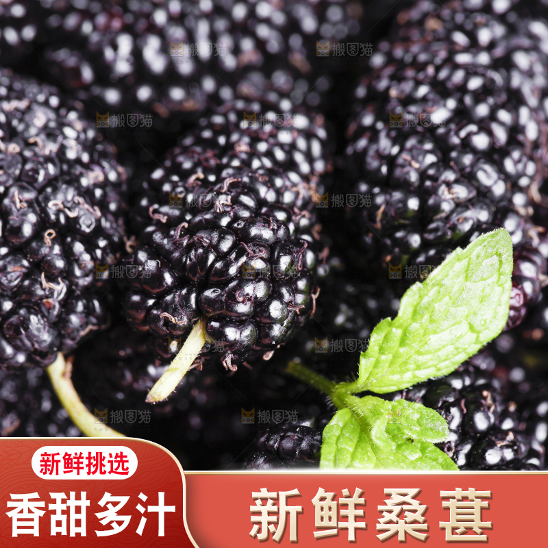 堆放着一堆黑桑葚