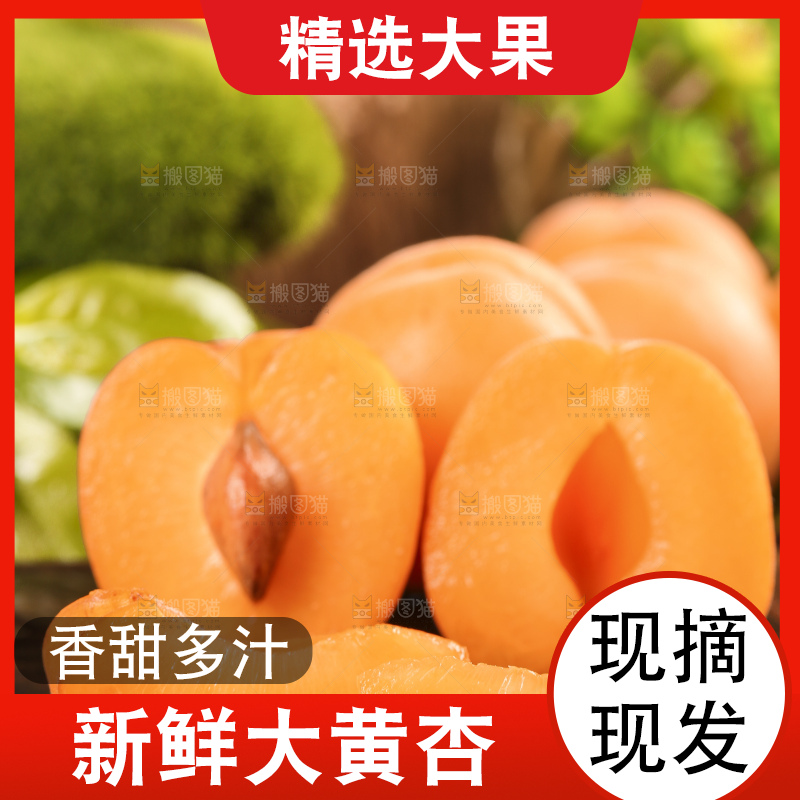 木底上摆放着大黄杏