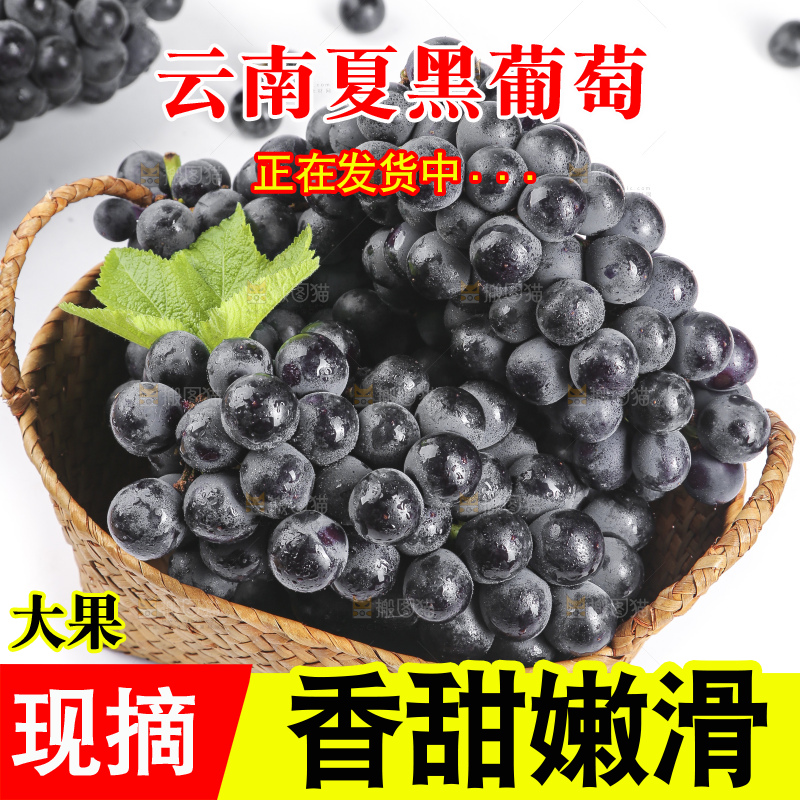篮子里装着无籽黑提