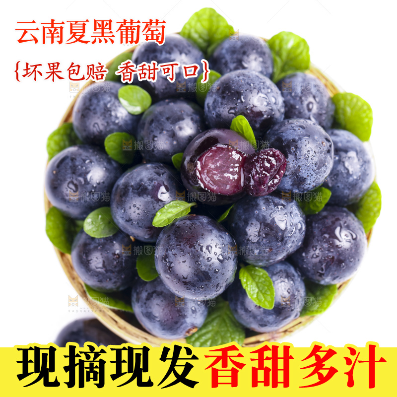 篮子里装着云南夏黑葡萄