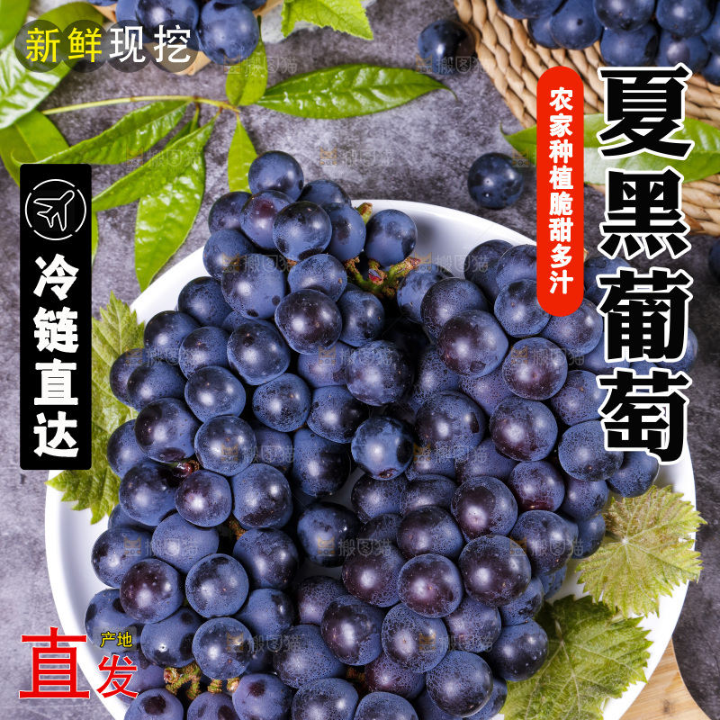 盘子里装着紫葡萄