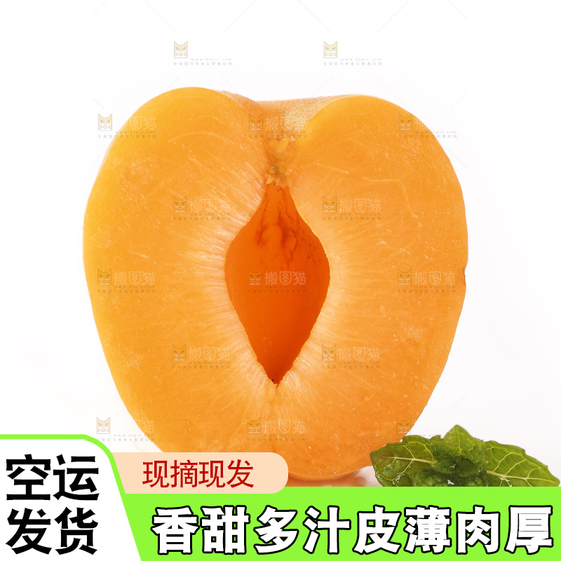 白底上摆放着黄金太阳杏