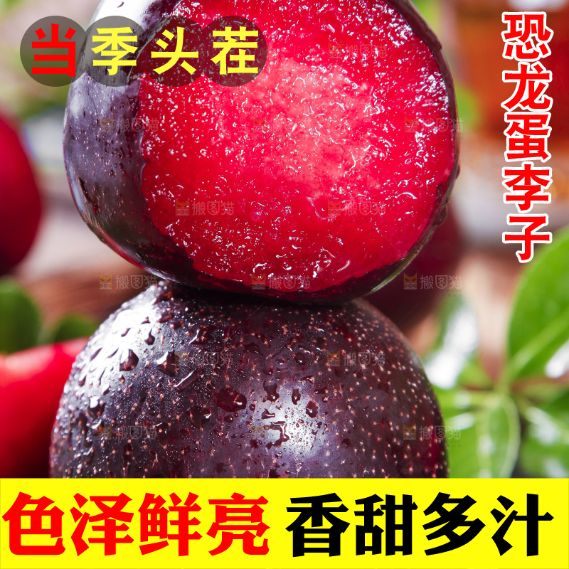 黑底上摆放着智利进口恐龙蛋