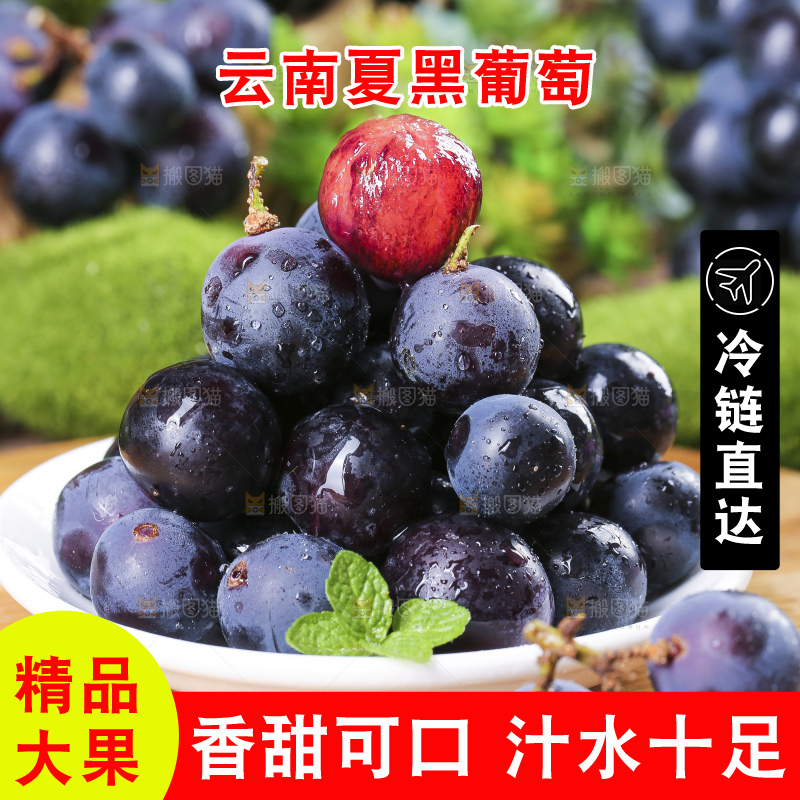 盘子里装着黑加仑葡萄