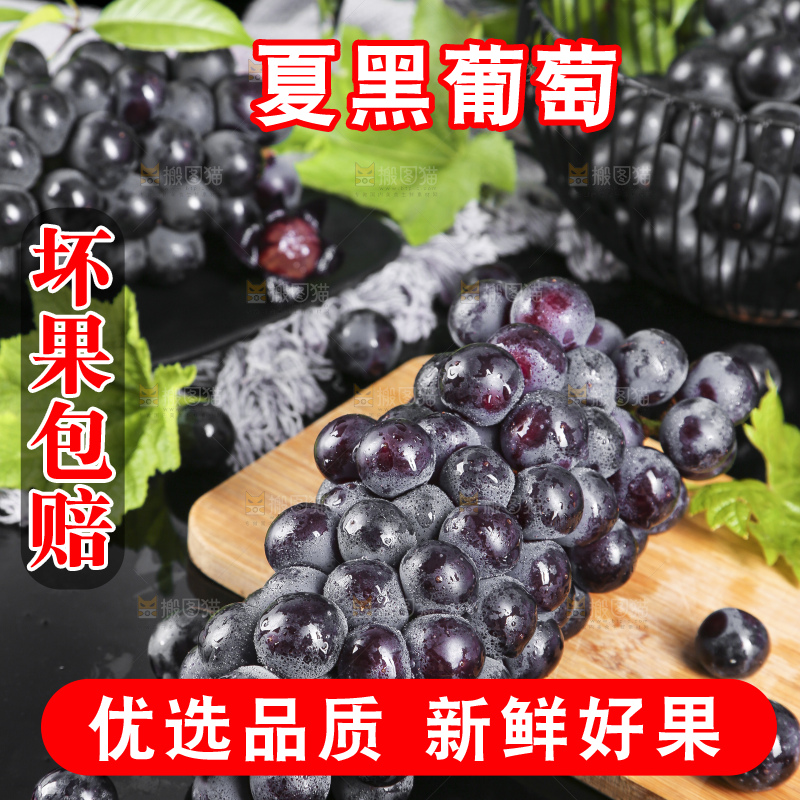 木底上摆放着云南夏黑葡萄