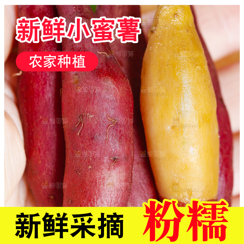 手里拿着小蜜薯