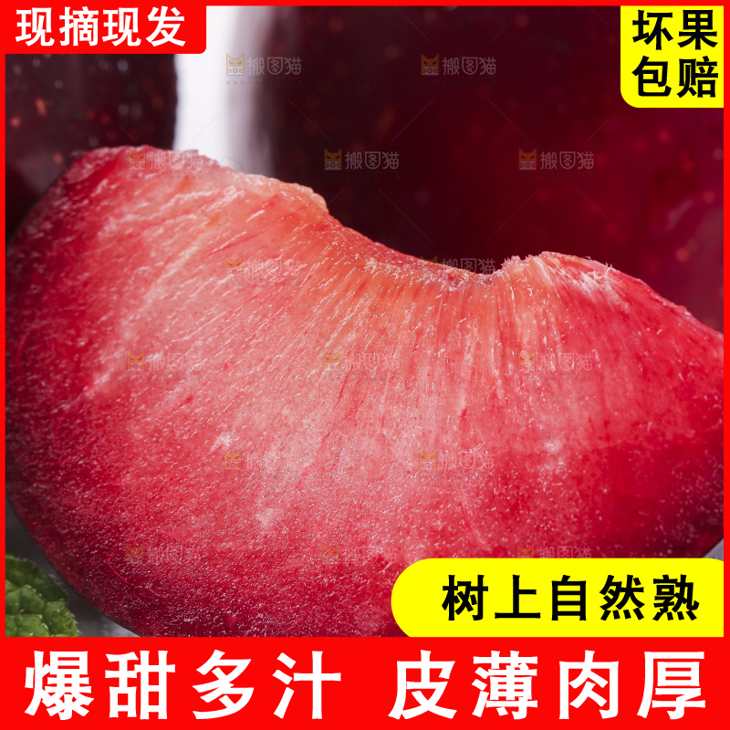 白底上放着智利进口恐龙蛋