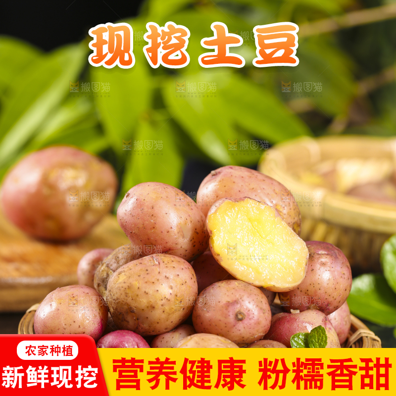 篮子里装着红土豆