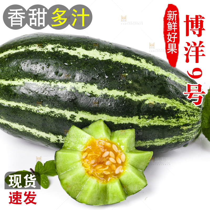 白底上放着博洋蜜脆甜瓜