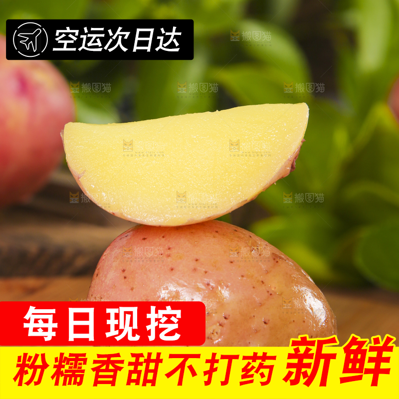 木底上放着红皮洋芋