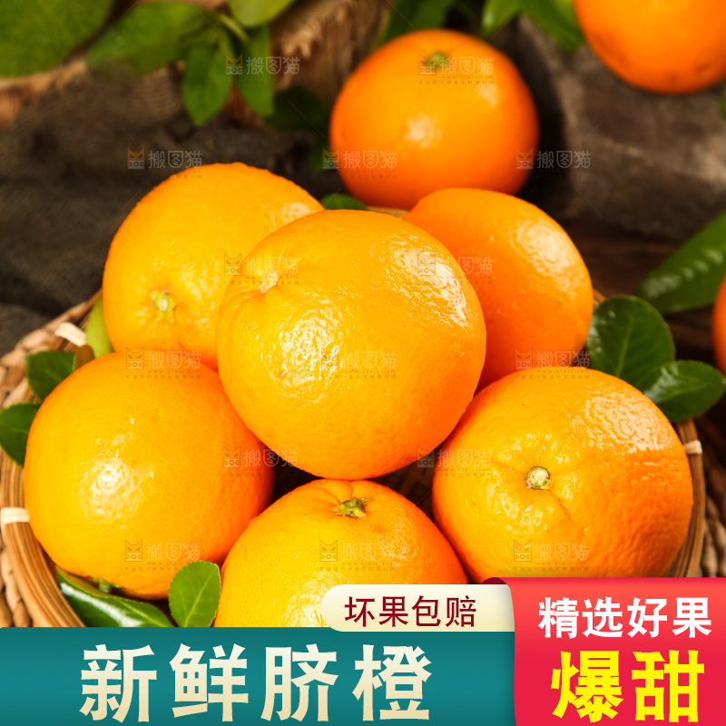 篮子里放着秭归脐橙