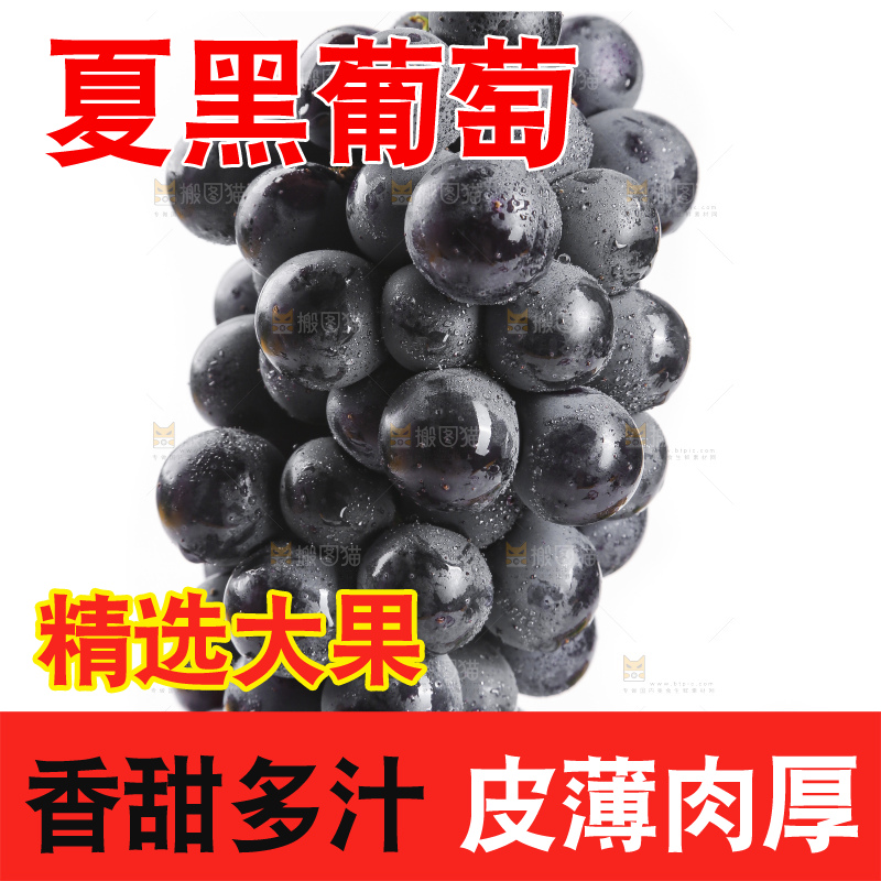 手里拿着夏黑葡萄