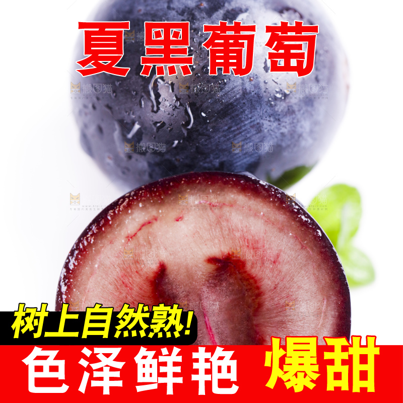 白底上放着夏黑加仑葡萄