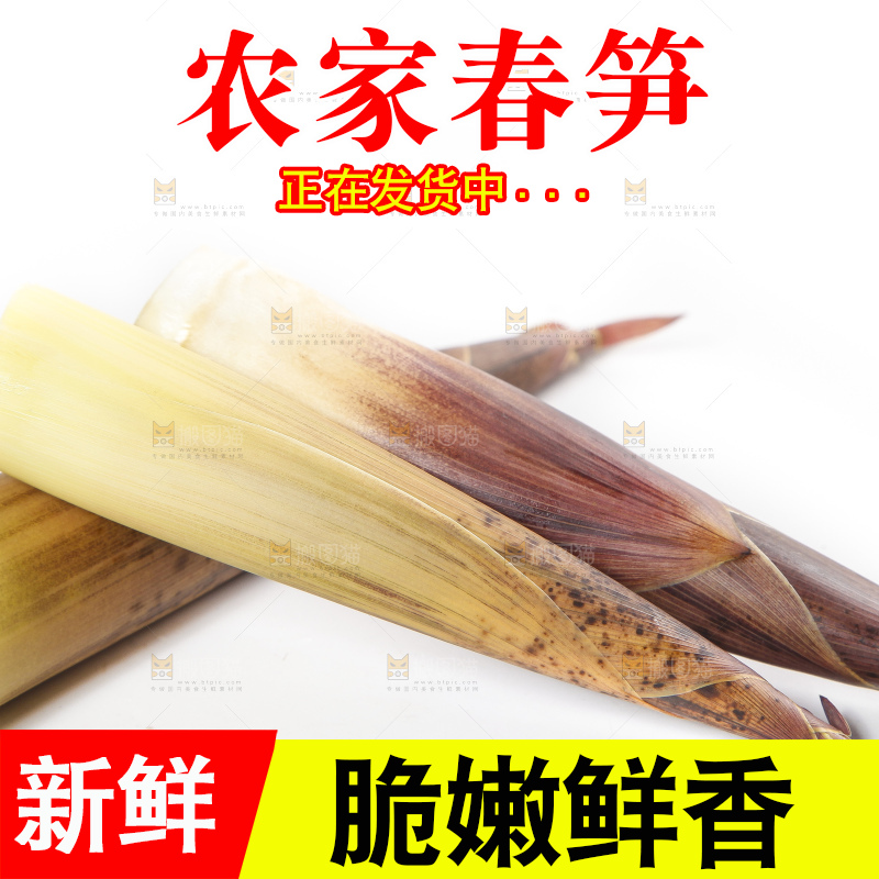 白底上摆放着建瓯雷笋