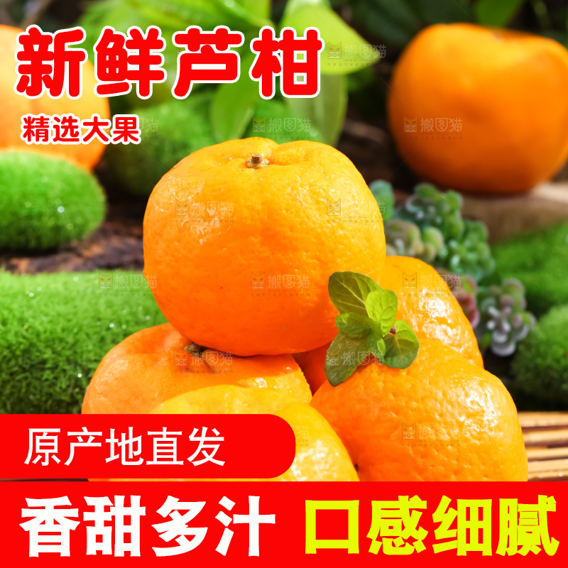 竹垫上放着宜昌芦柑