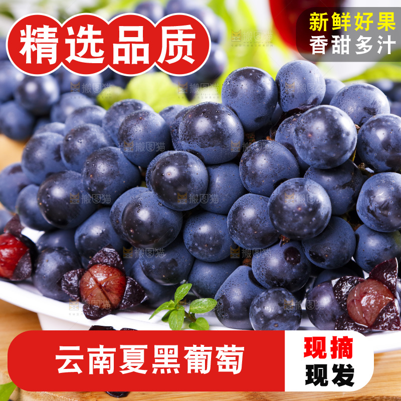 碟子里装着黑加仑