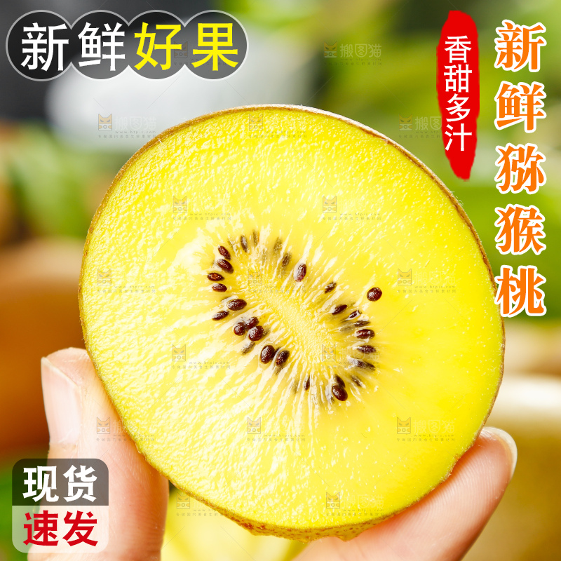 手里拿着黄心猕猴桃