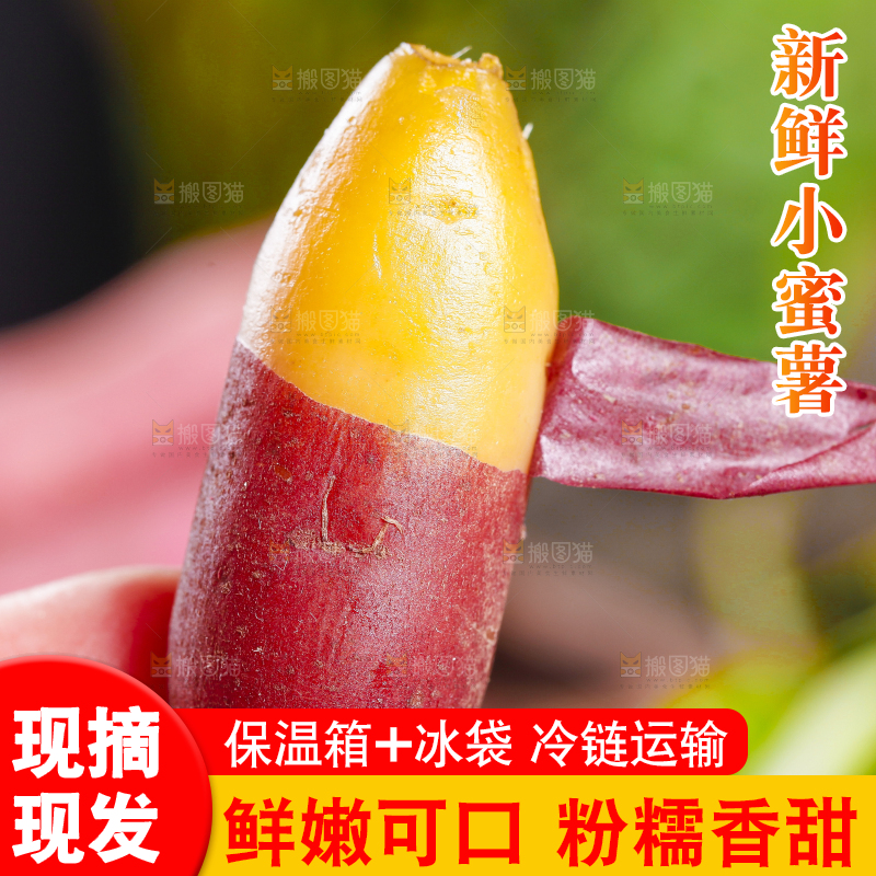 手里拿着金手指红薯
