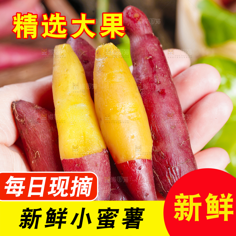 手里拿着小蜜薯