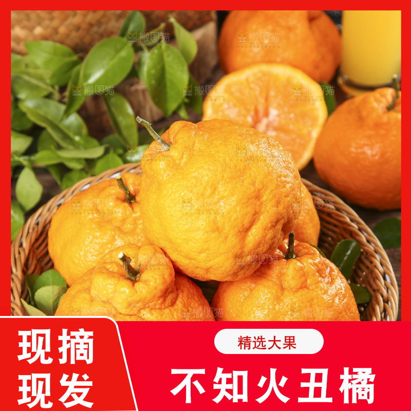 篮子里装着四川不知火丑橘