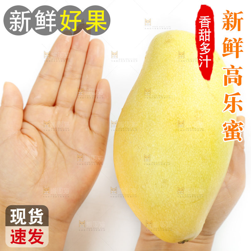 手里拿着金煌芒