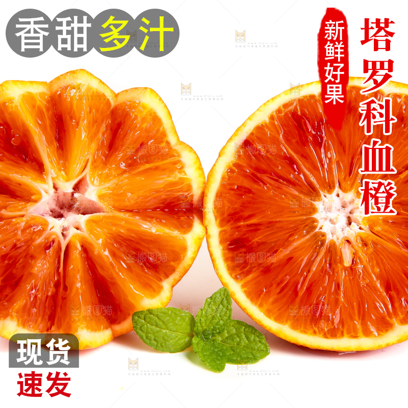白底上的玫瑰血橙