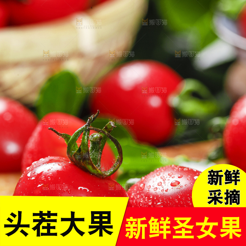 木底上摆放着千禧圣女果