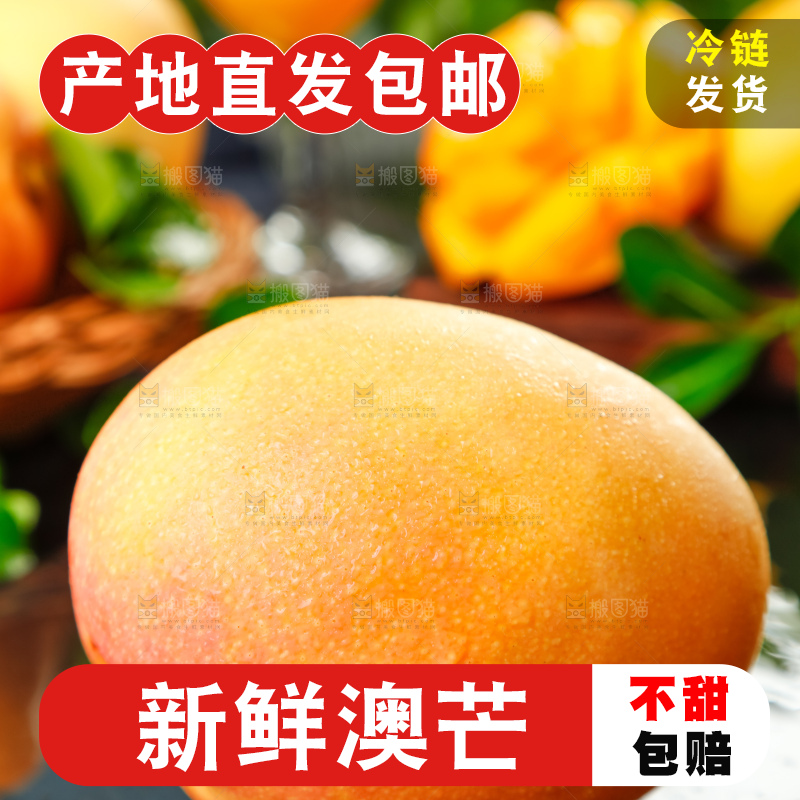 黑底上摆放着澳芒