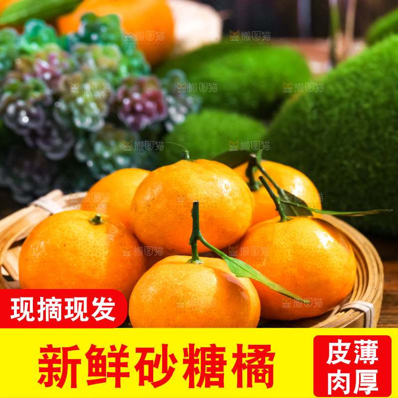 篮子里装着砂糖橘