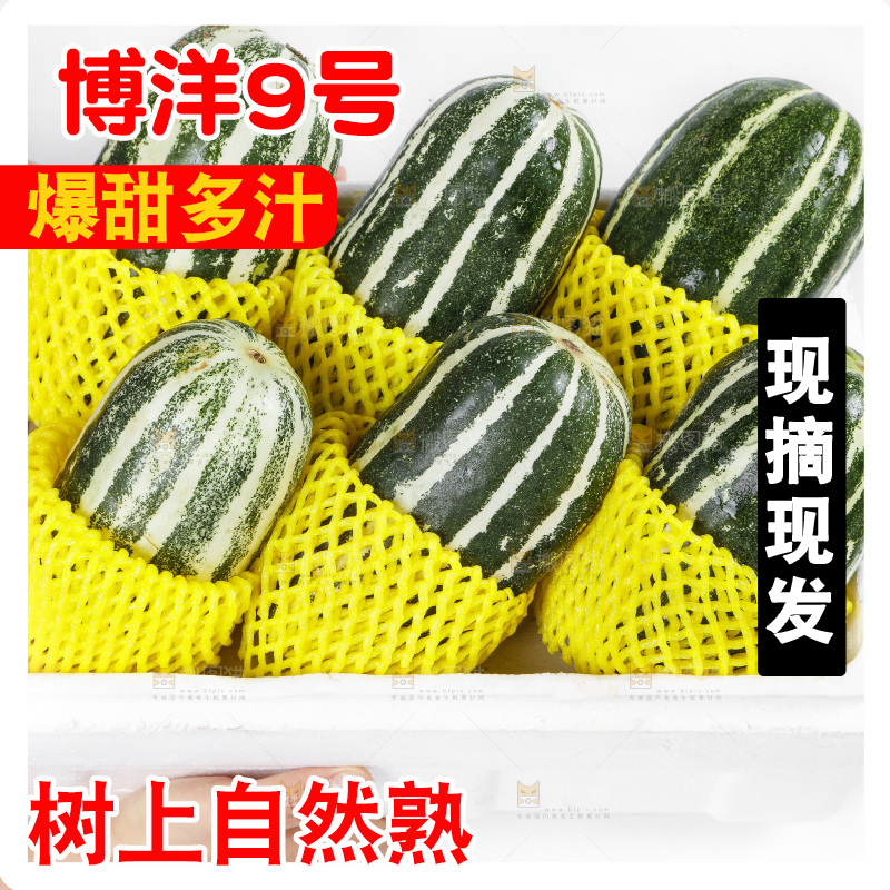 手里拿着一箱博洋甜瓜