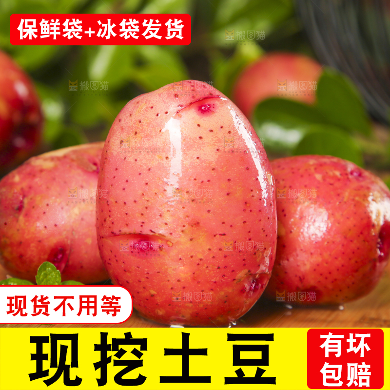 木底上摆放着红皮小土豆