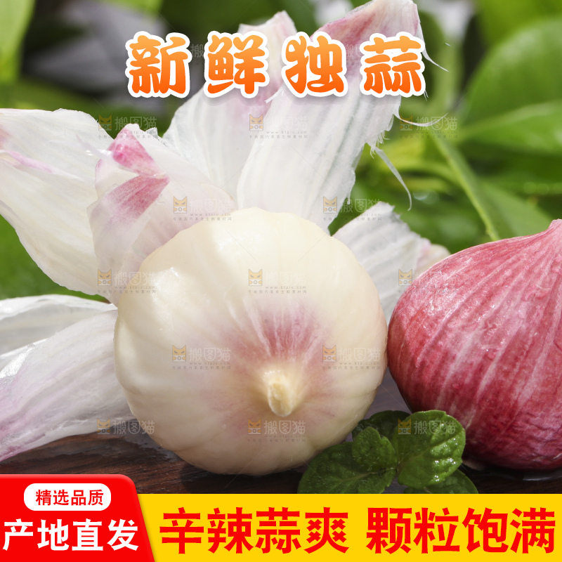 深底上摆放着云南独头蒜