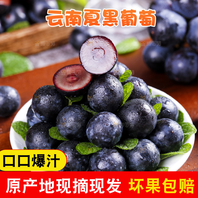 盘子里装着黑加仑葡萄