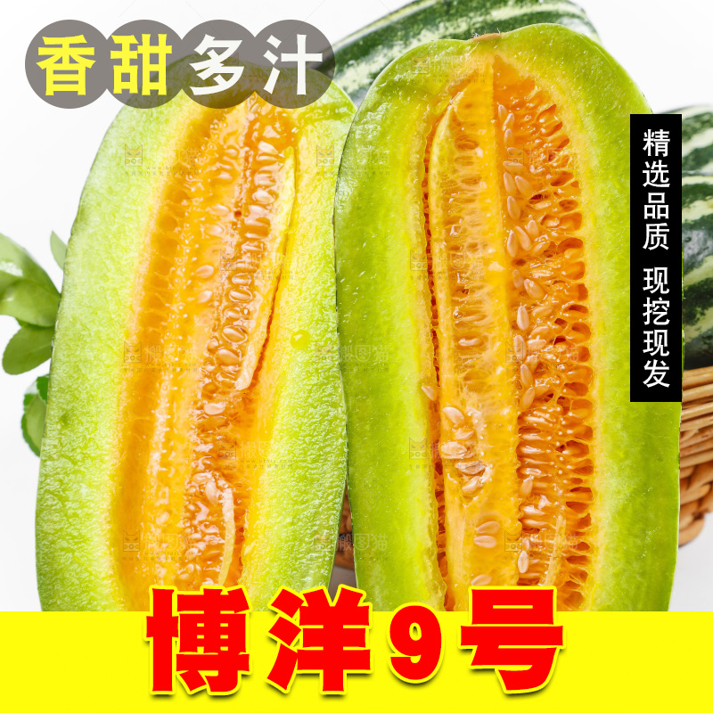 白底上放着花皮甜瓜