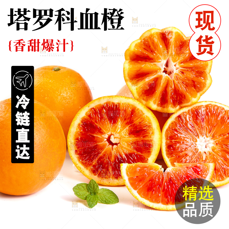 白底上的玫瑰血橙