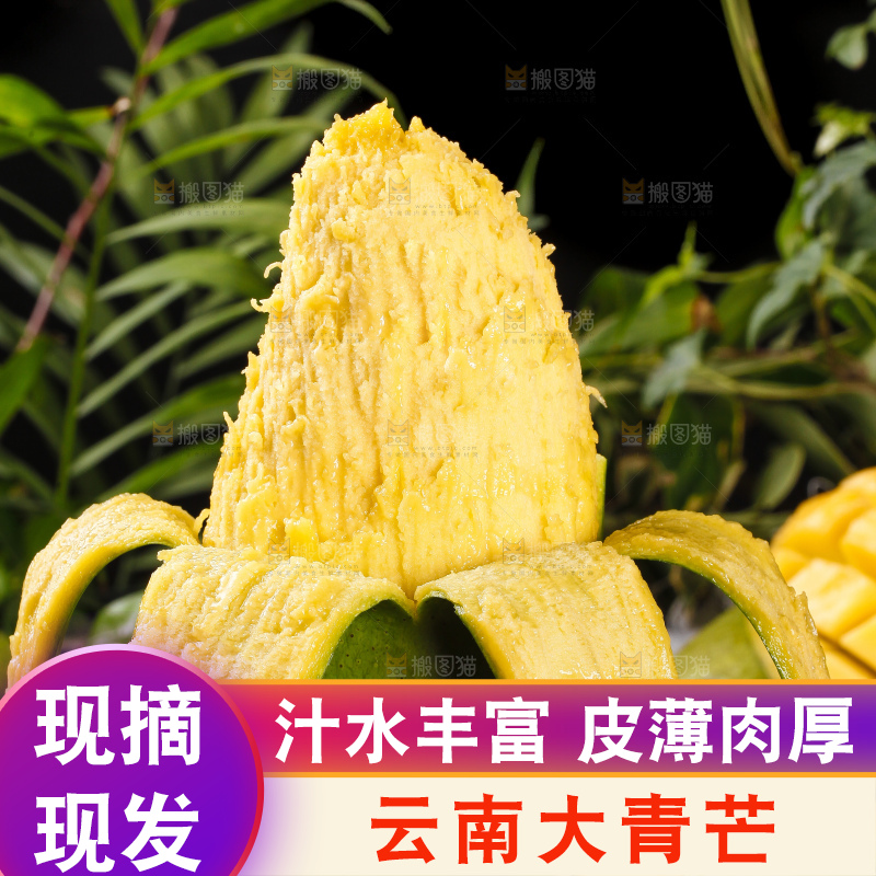 手里拿着剥开的青皮芒果