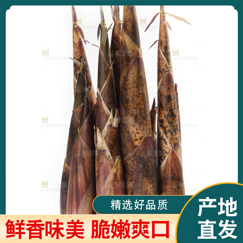 白底上摆放着春雷笋