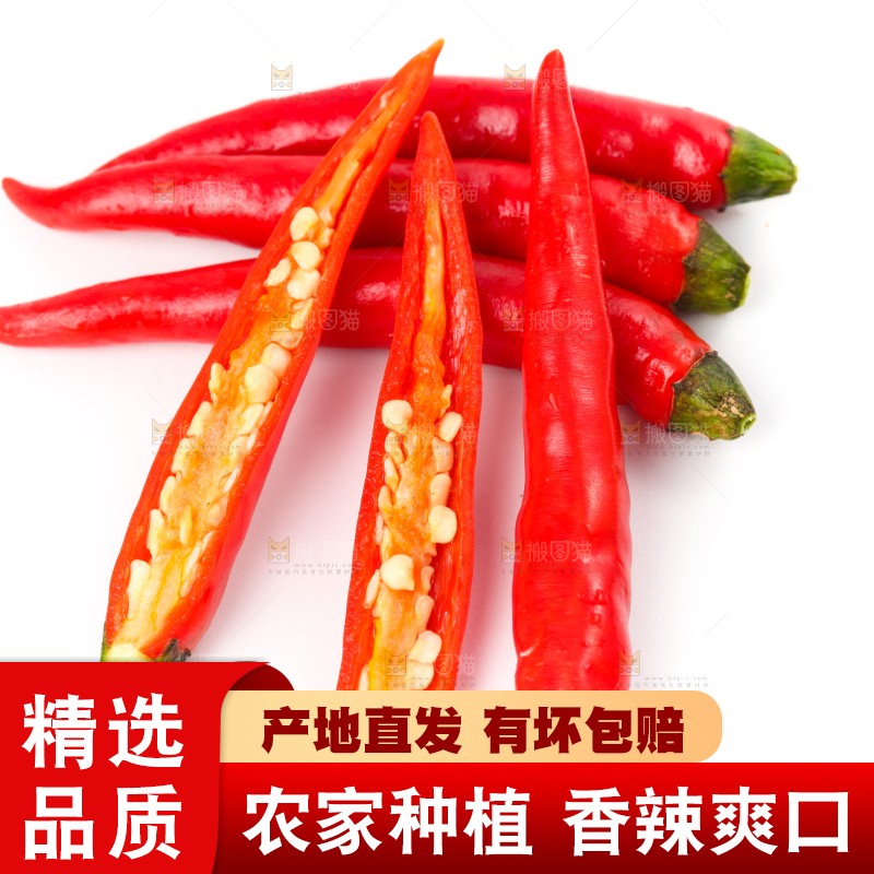 白底上摆放着广西小米椒