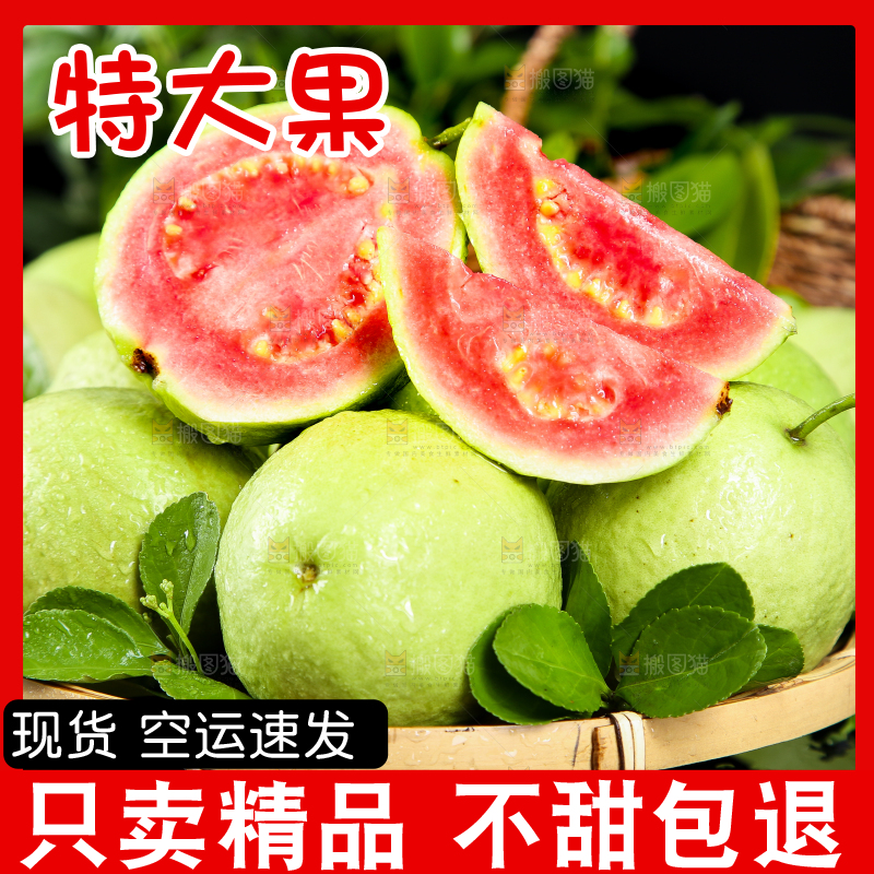 篮子里装着广西红心芭乐