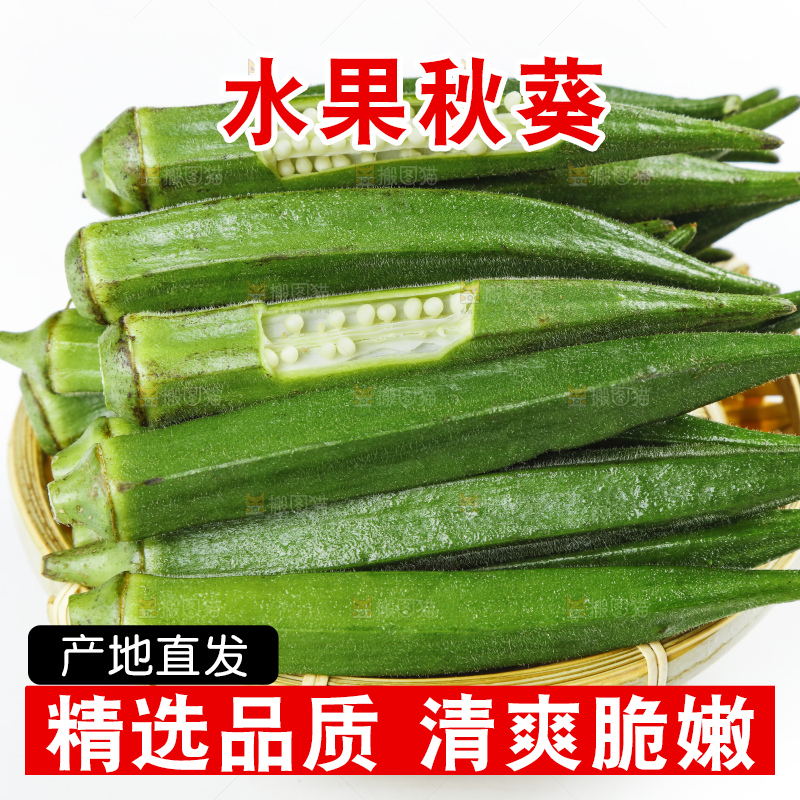 篮子里装着山东新鲜秋葵
