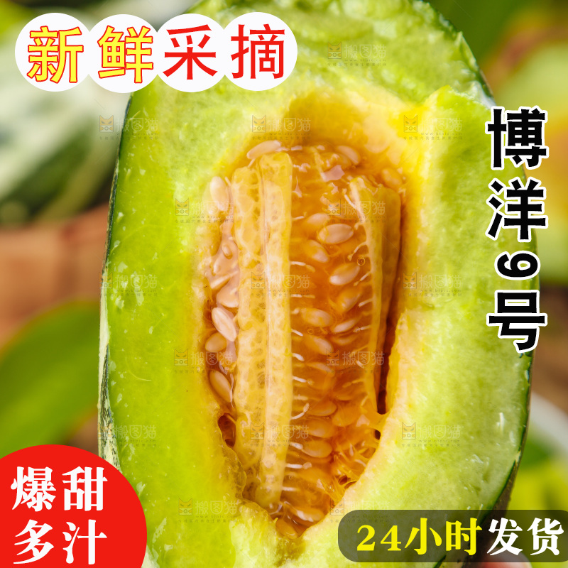 手里拿着博洋甜瓜