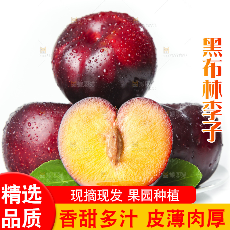 盘子里装着黑布朗