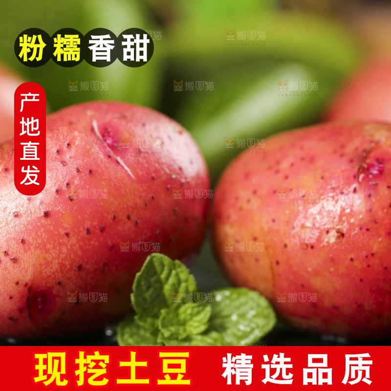 深底上摆放着红皮土豆