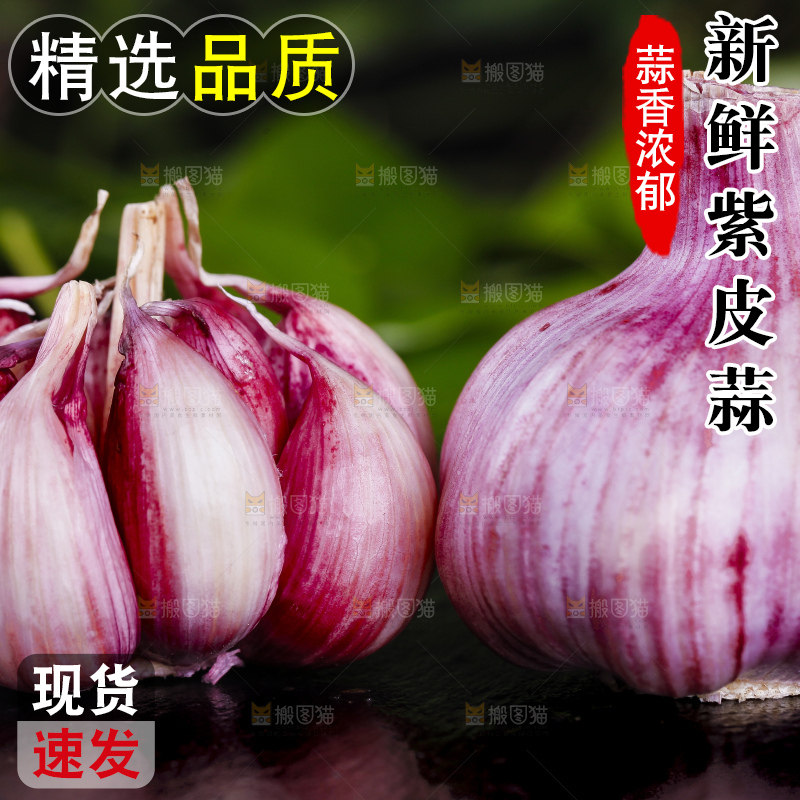 黑底上放着紫皮鲜蒜