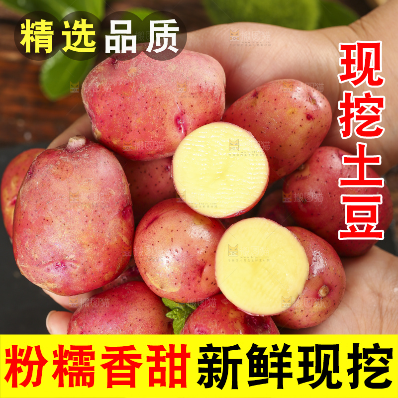 手里捧着红土豆