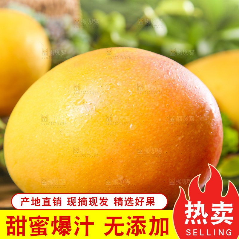 深底上摆放着澳芒