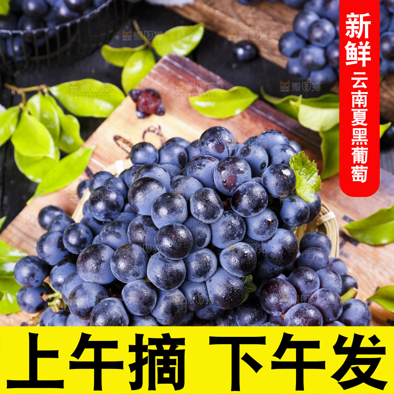 篮子里装着无籽黑提